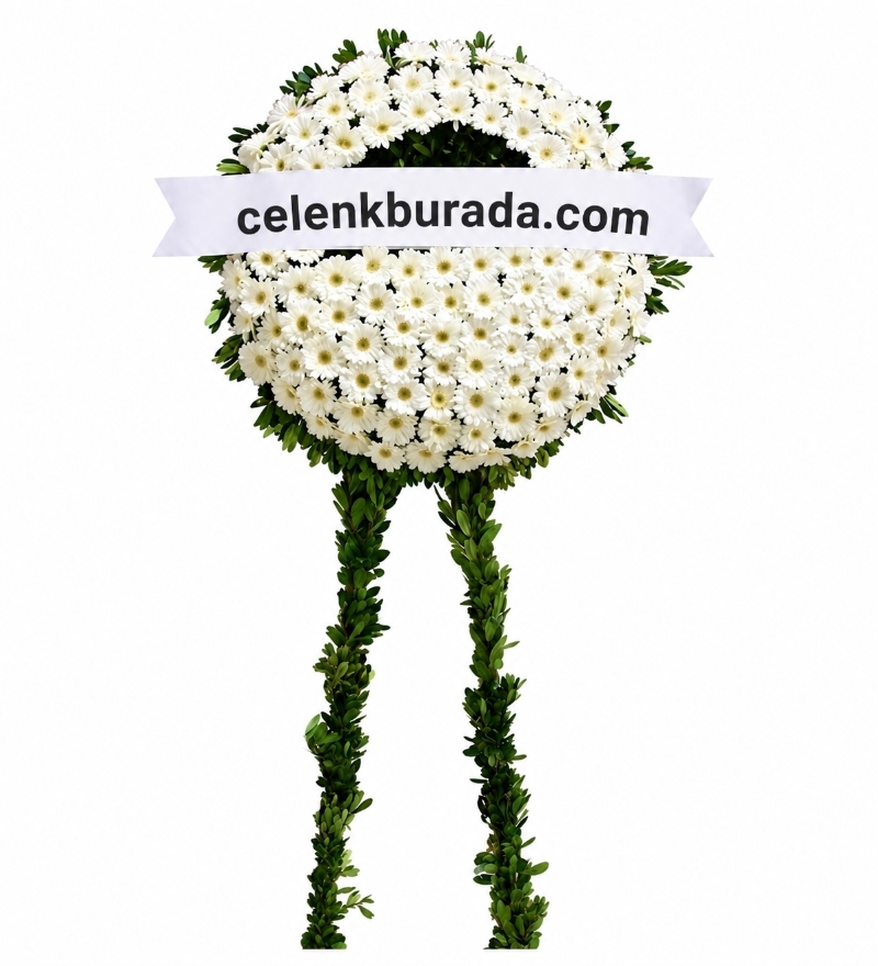 Beyaz Gerbera Cenaze Çelengi